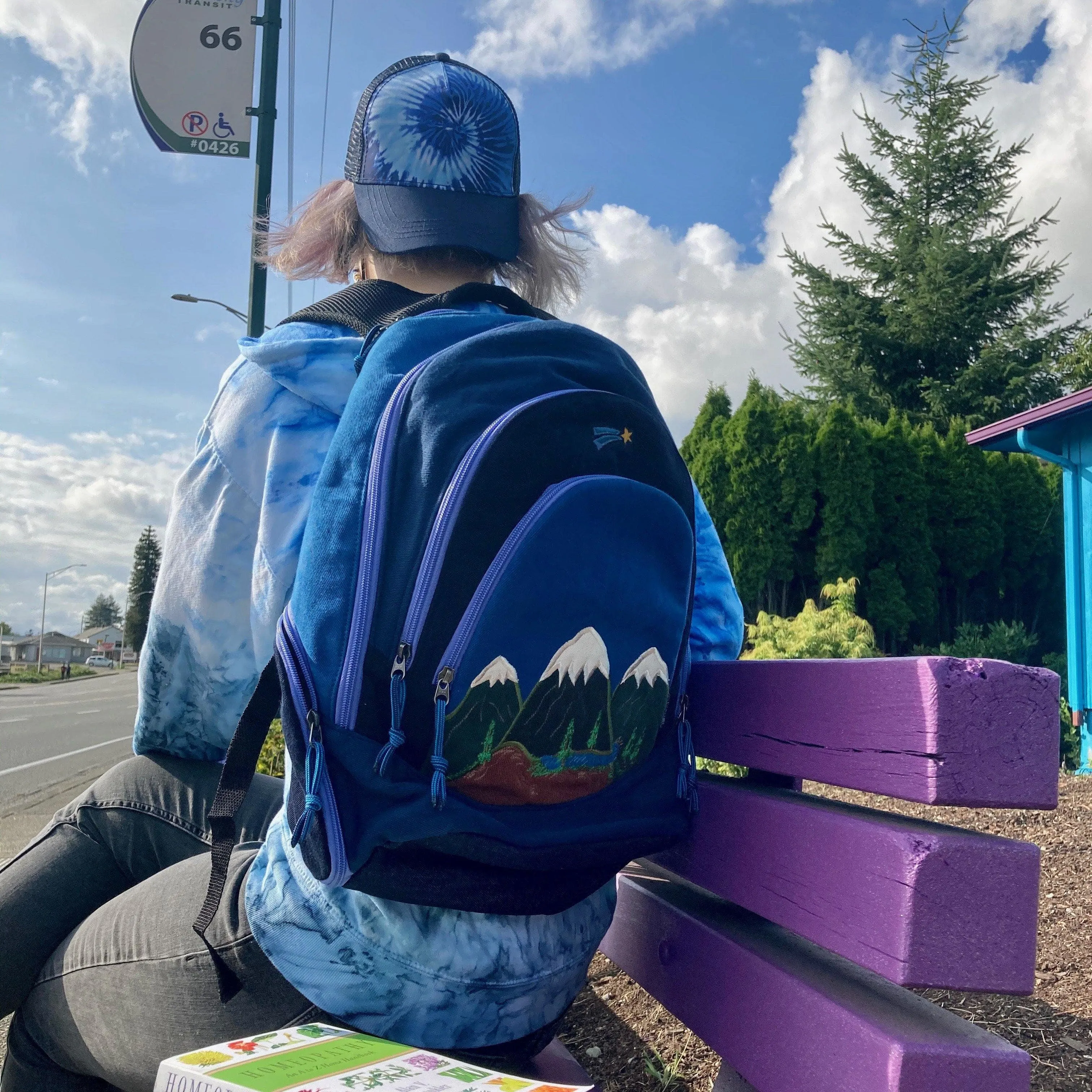 Large Mountain Backpack