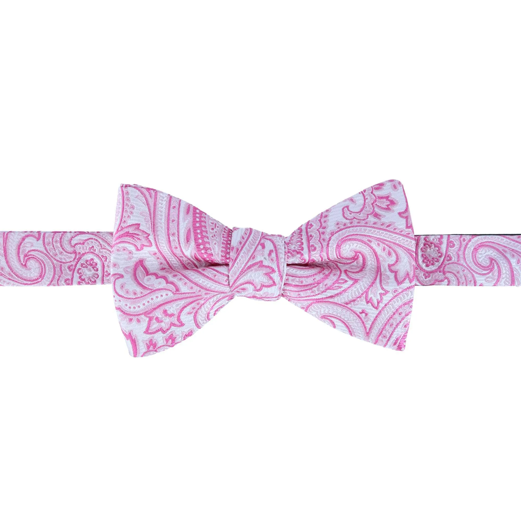 Sobee Paisley Cummerbund and Bow Tie Set
